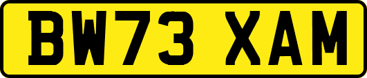 BW73XAM