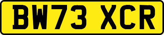 BW73XCR