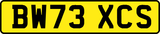 BW73XCS