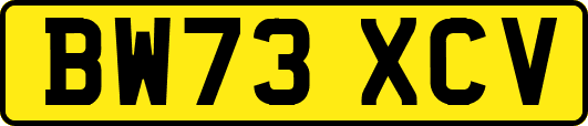 BW73XCV