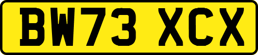 BW73XCX