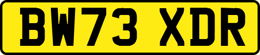 BW73XDR