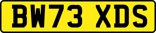 BW73XDS