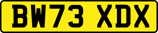 BW73XDX