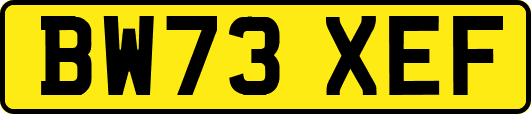 BW73XEF