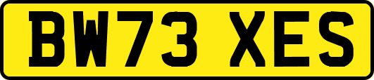 BW73XES