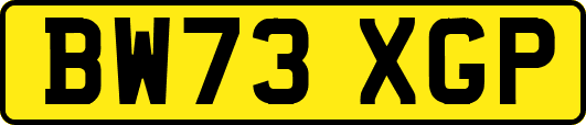 BW73XGP