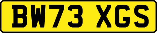 BW73XGS