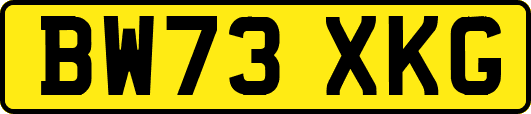 BW73XKG