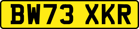 BW73XKR