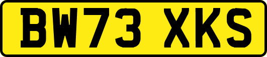 BW73XKS