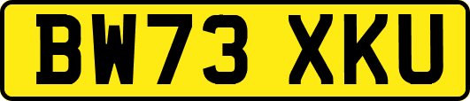 BW73XKU