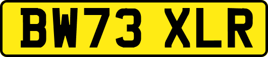 BW73XLR
