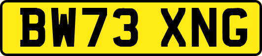 BW73XNG