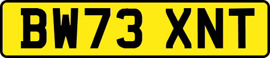 BW73XNT