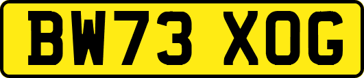 BW73XOG