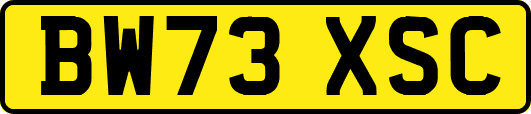 BW73XSC
