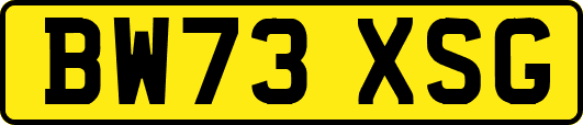 BW73XSG