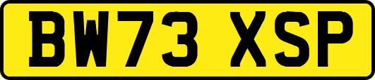 BW73XSP