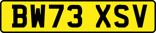 BW73XSV