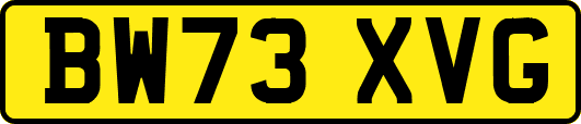 BW73XVG