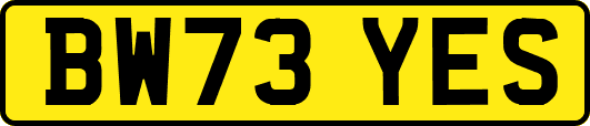 BW73YES