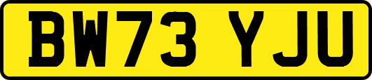 BW73YJU
