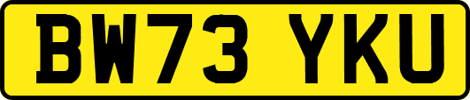 BW73YKU