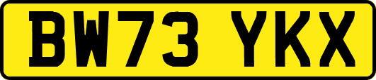 BW73YKX