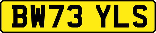 BW73YLS