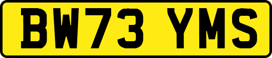 BW73YMS