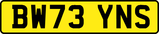 BW73YNS