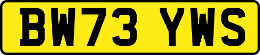 BW73YWS