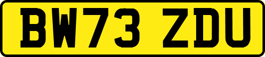 BW73ZDU