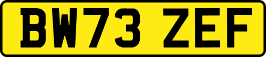 BW73ZEF
