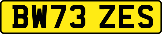 BW73ZES