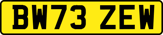 BW73ZEW