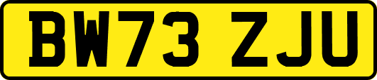 BW73ZJU
