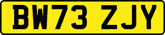 BW73ZJY