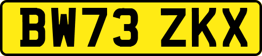 BW73ZKX