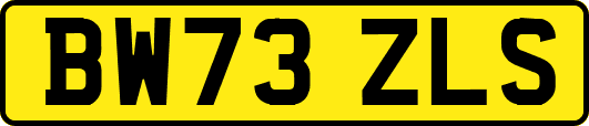 BW73ZLS