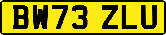 BW73ZLU