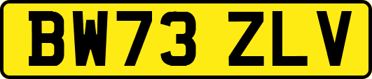 BW73ZLV
