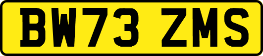 BW73ZMS