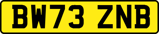 BW73ZNB