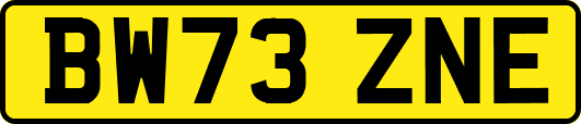 BW73ZNE