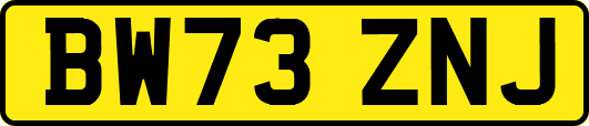 BW73ZNJ