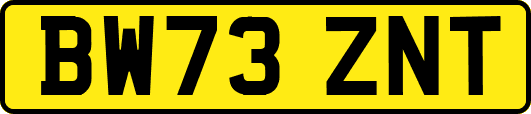 BW73ZNT