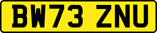 BW73ZNU
