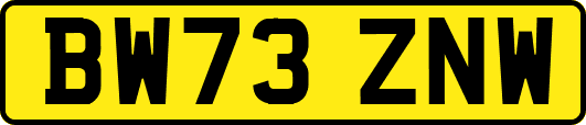 BW73ZNW